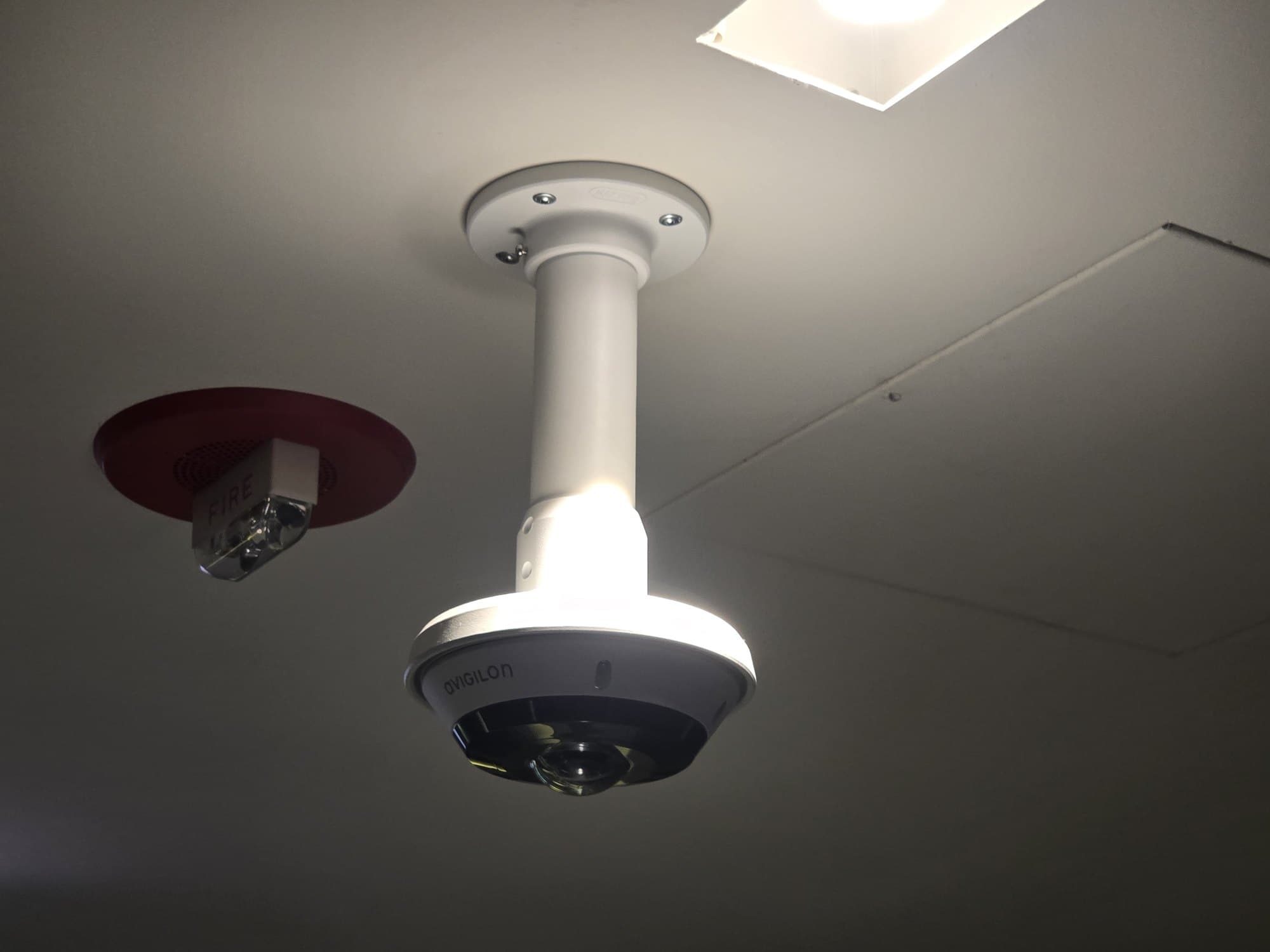 White Avigilon dome security camera and red fire alarm mounted on a white ceiling.